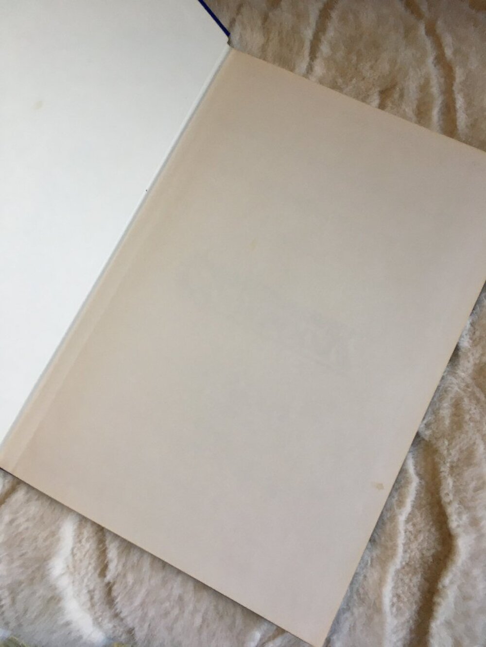 1980s Vintage Whimsigoth Creole Art Cookbook NOMA - Picture 6 of 12